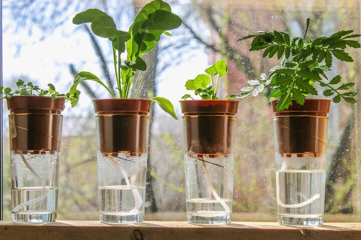 Build Your Own Indoor Watering System