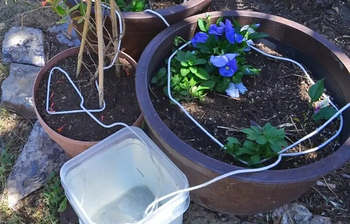 Easy DIY Wick automatic watering System for potted plants
