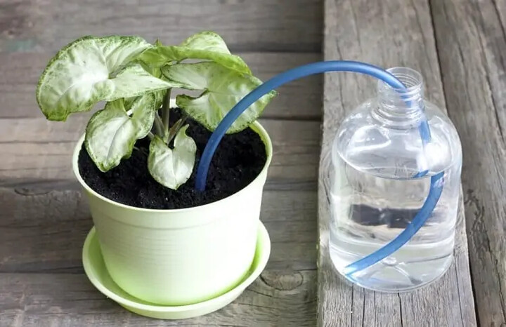 Automatic Watering System for a small houseplant